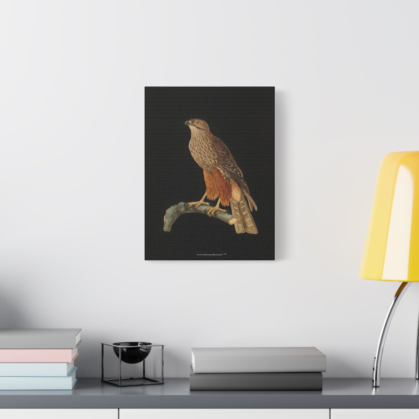 Falcon Art Canvas Print — Matte Stretched Bird Illustration