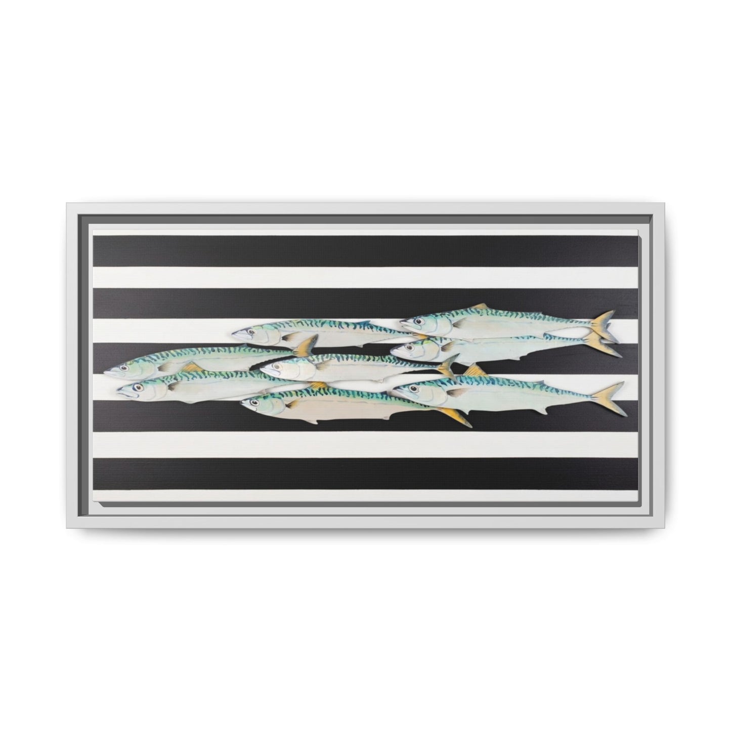 Striped Mackerel Canvas Print — Framed Matte Fish Wall Art