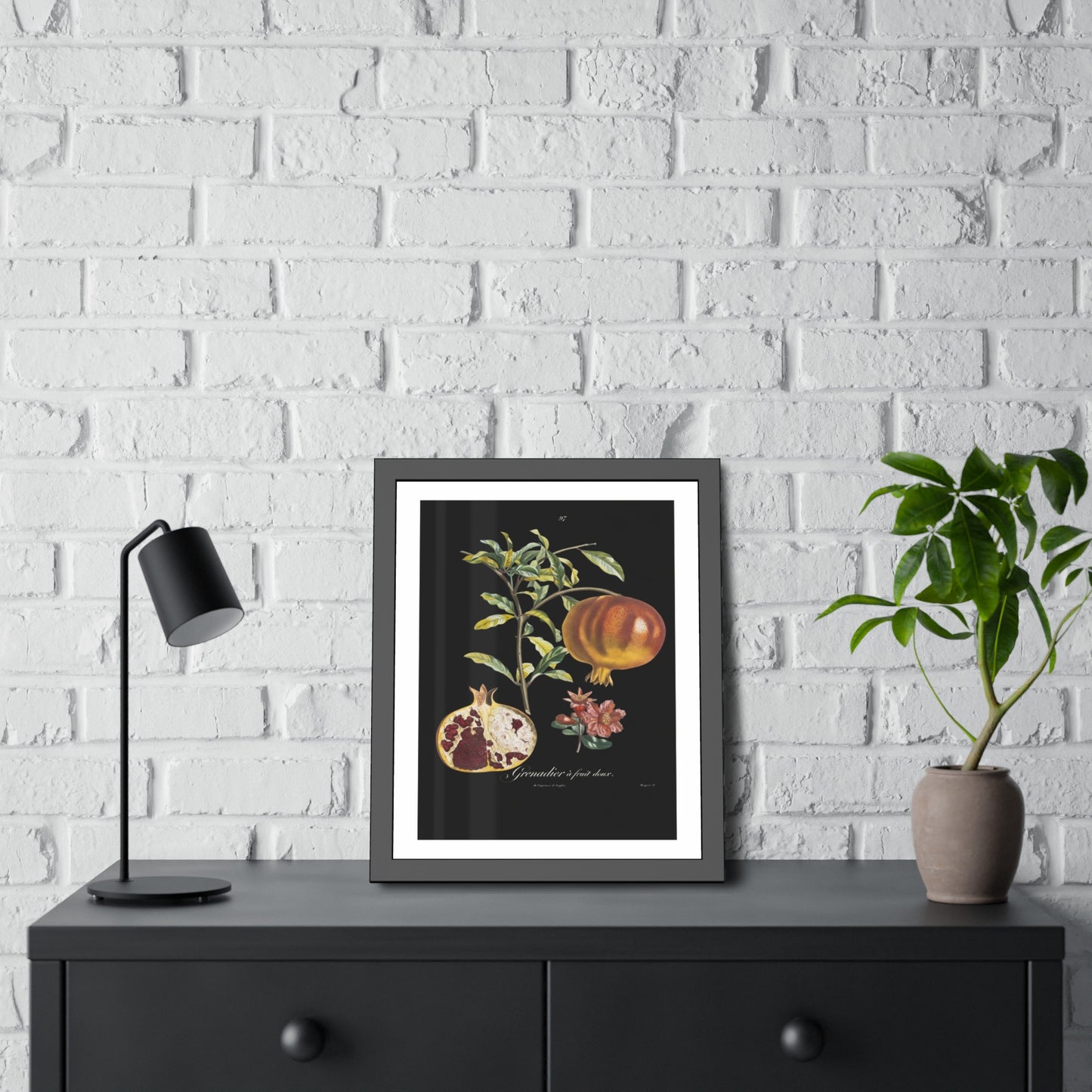 Pomegranate Botanical Framed Poster — Vintage Fruit Art Print