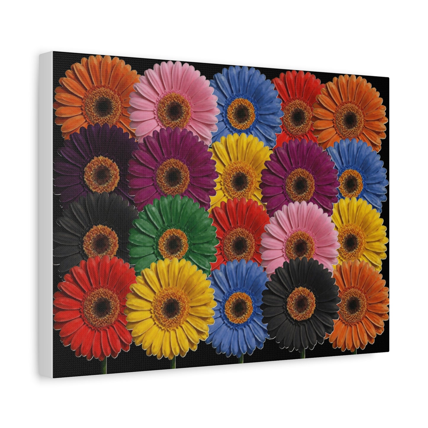 Colorful Gerbera Daisy Canvas Print — Vibrant Floral Wall Art