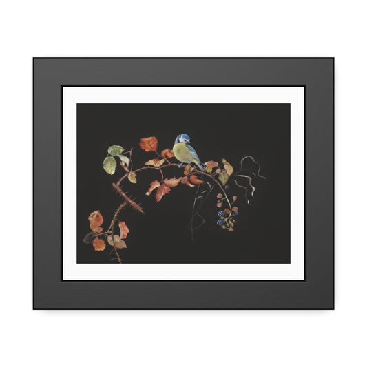 Framed Bird Print Poster — Vintage Botanical Bird Illustration on Black