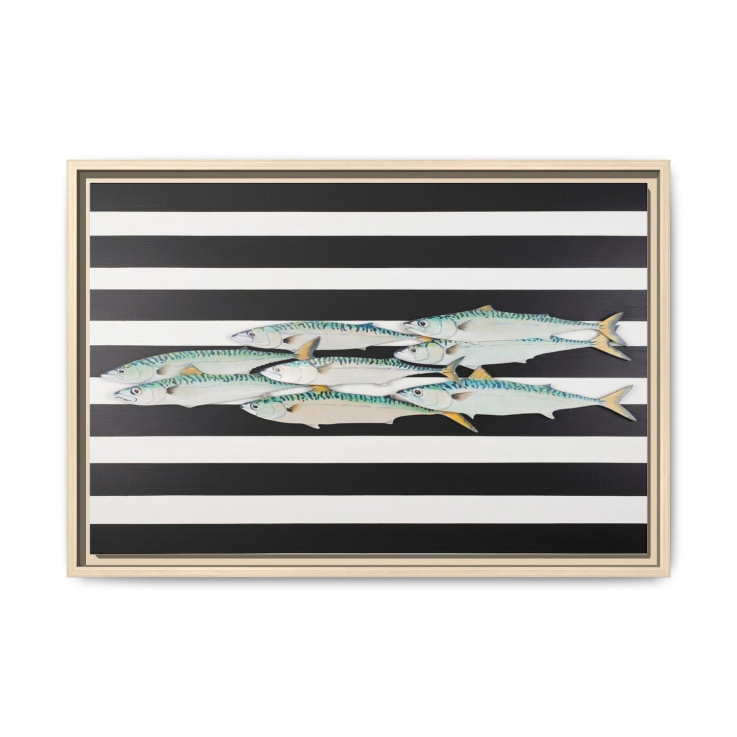 Striped Mackerel Canvas Print — Framed Matte Fish Wall Art