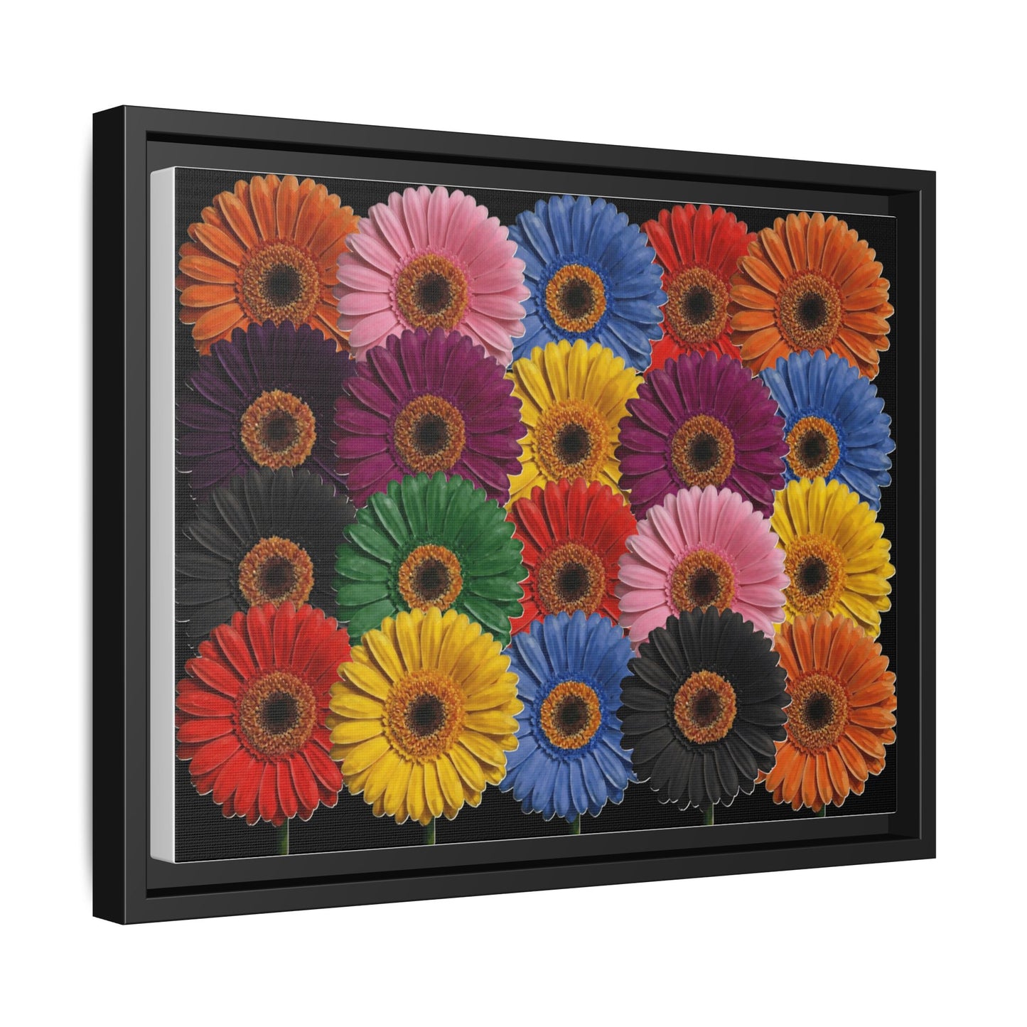 Framed Matte Canvas - Rainbow Gerbera Daisy Wall Art