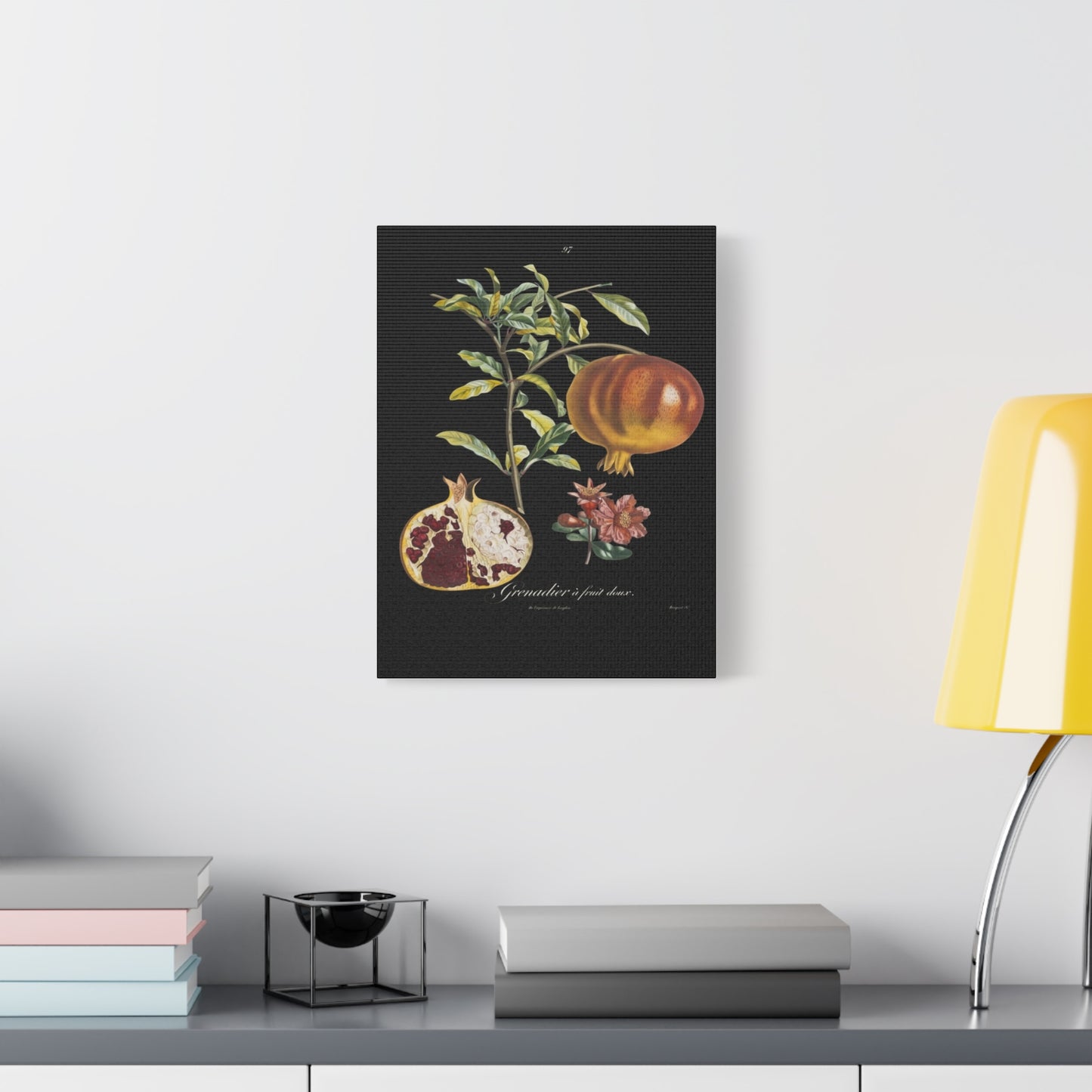Pomegranate Botanical Canvas Print — Matte Stretched Wall Art