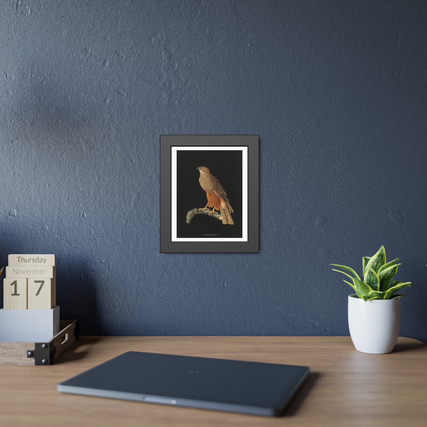 Framed Bird Art Print — Vintage Red-Shouldered Hawk Illustration Poster