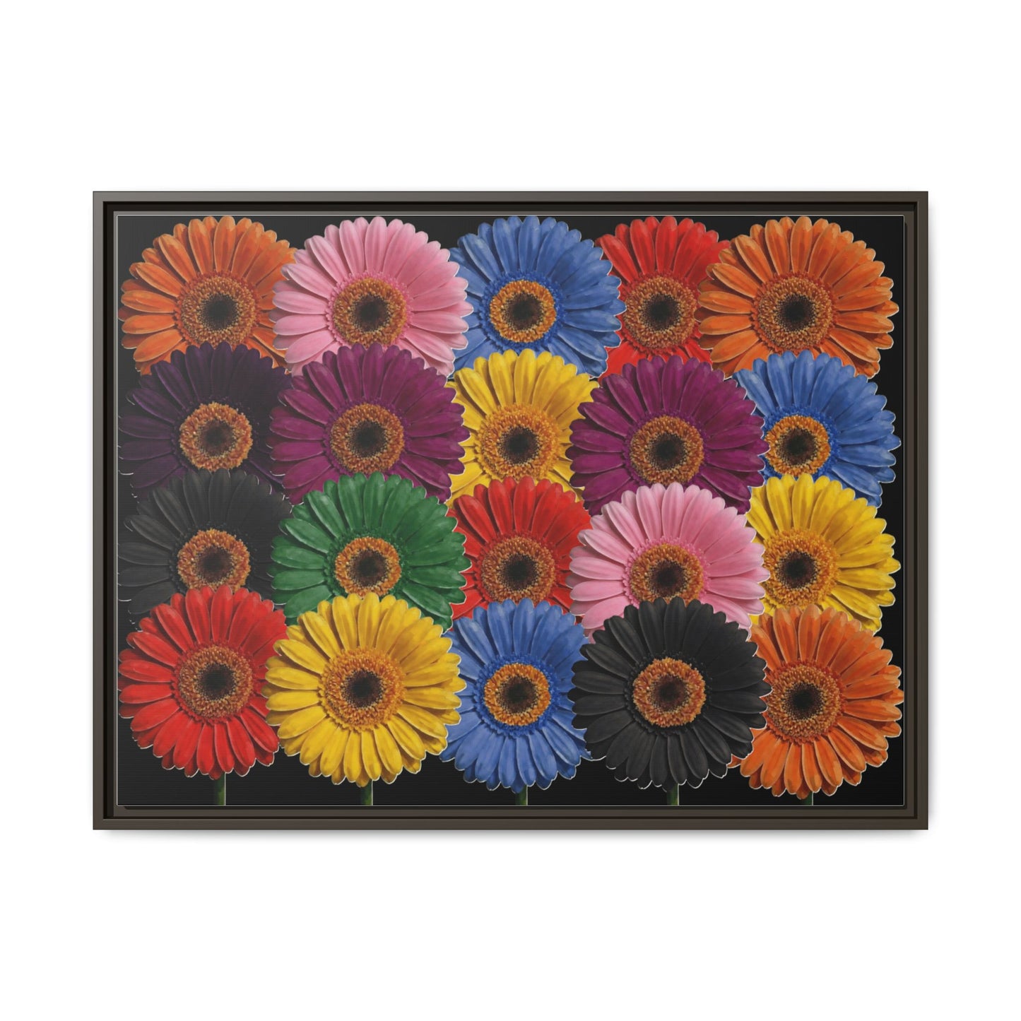 Framed Matte Canvas - Rainbow Gerbera Daisy Wall Art