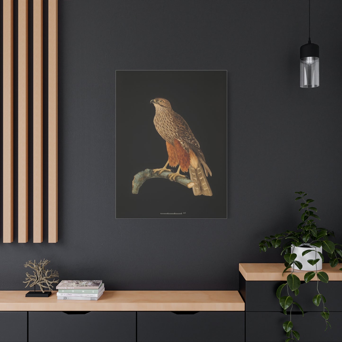 Falcon Art Canvas Print — Matte Stretched Bird Illustration