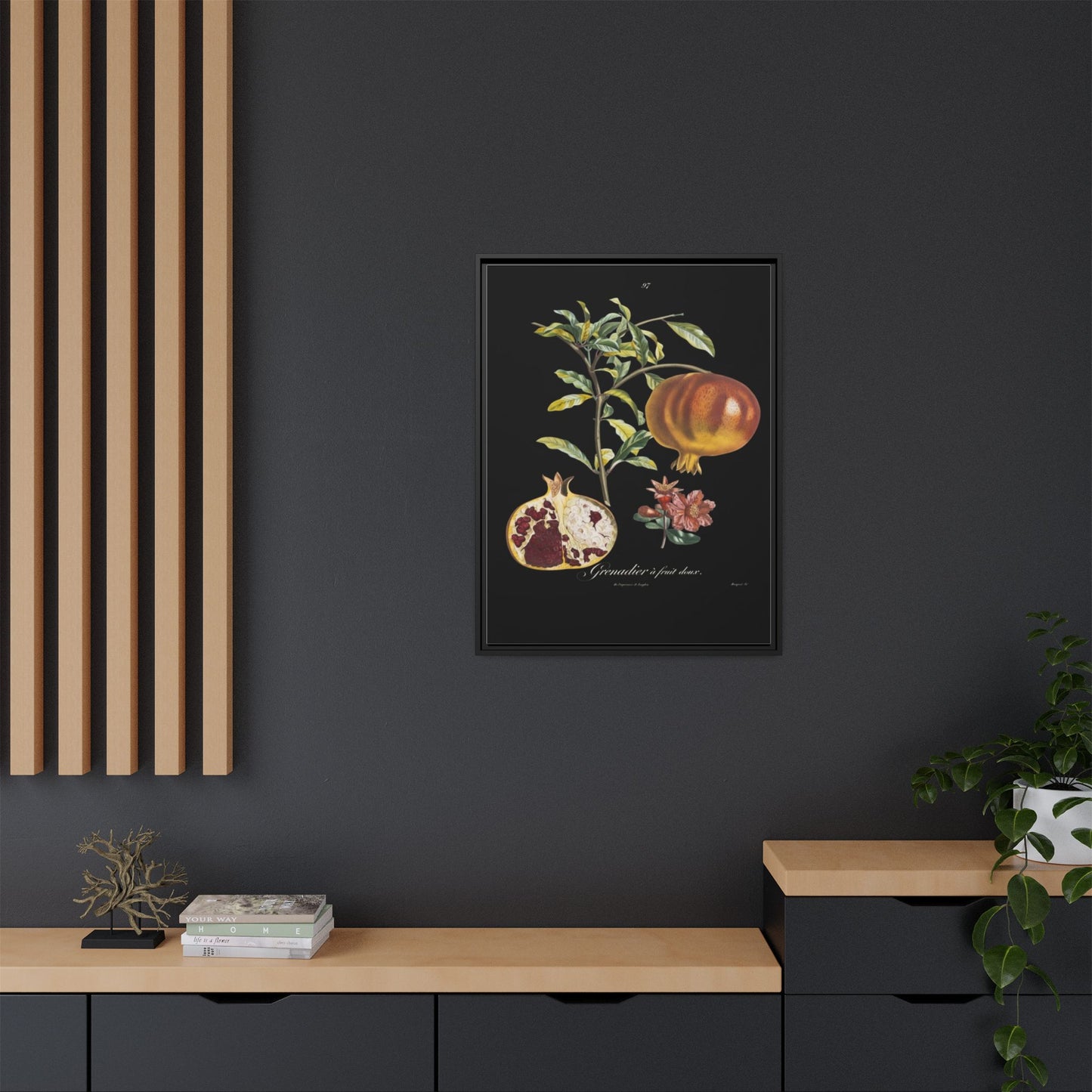 Pomegranate Botanical Framed Canvas Print — Vintage Fruit Wall Art
