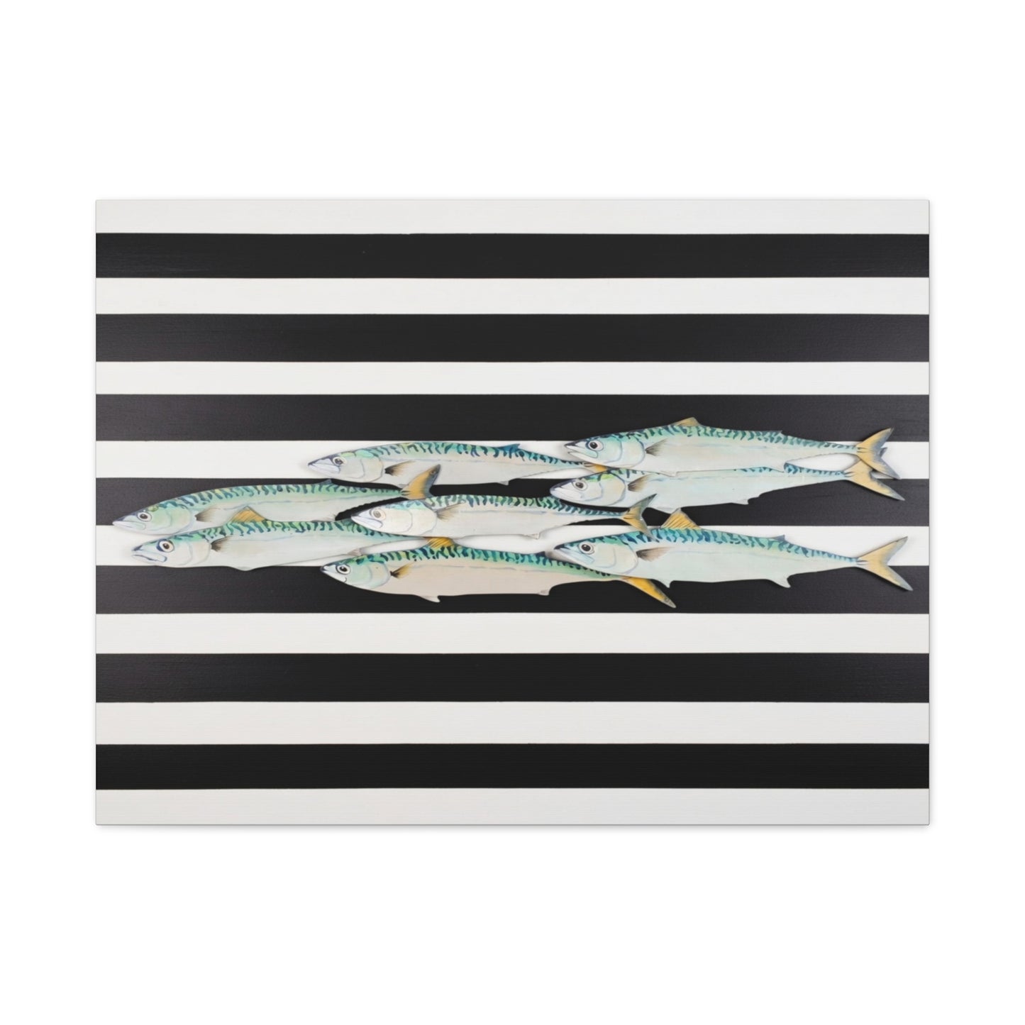 Striped Mackerel School Matte Canvas Print