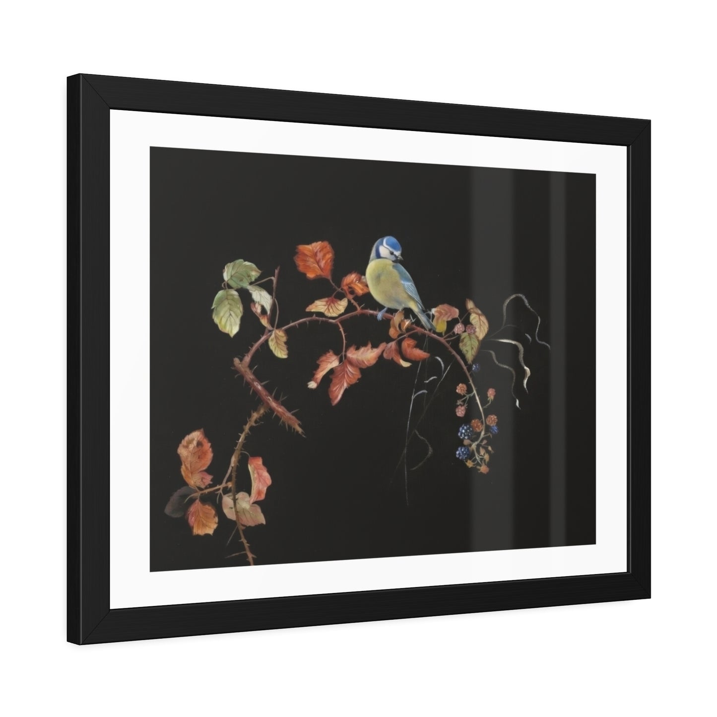 Framed Bird Print Poster — Vintage Botanical Bird Illustration on Black