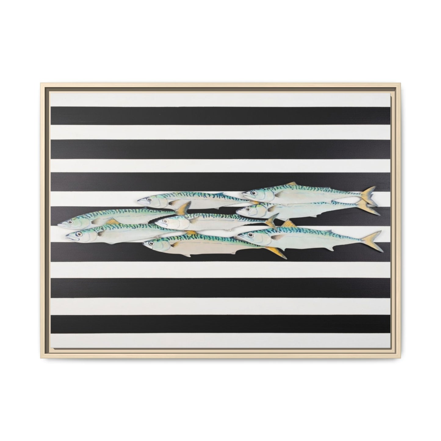 Striped Mackerel Canvas Print — Framed Matte Fish Wall Art
