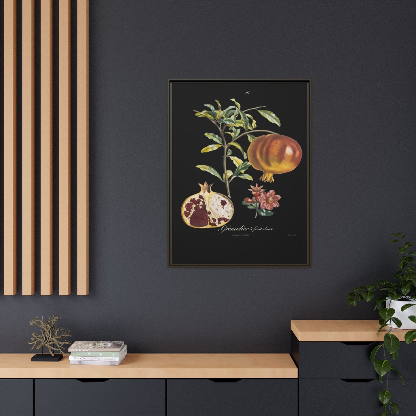 Pomegranate Botanical Framed Canvas Print — Vintage Fruit Wall Art
