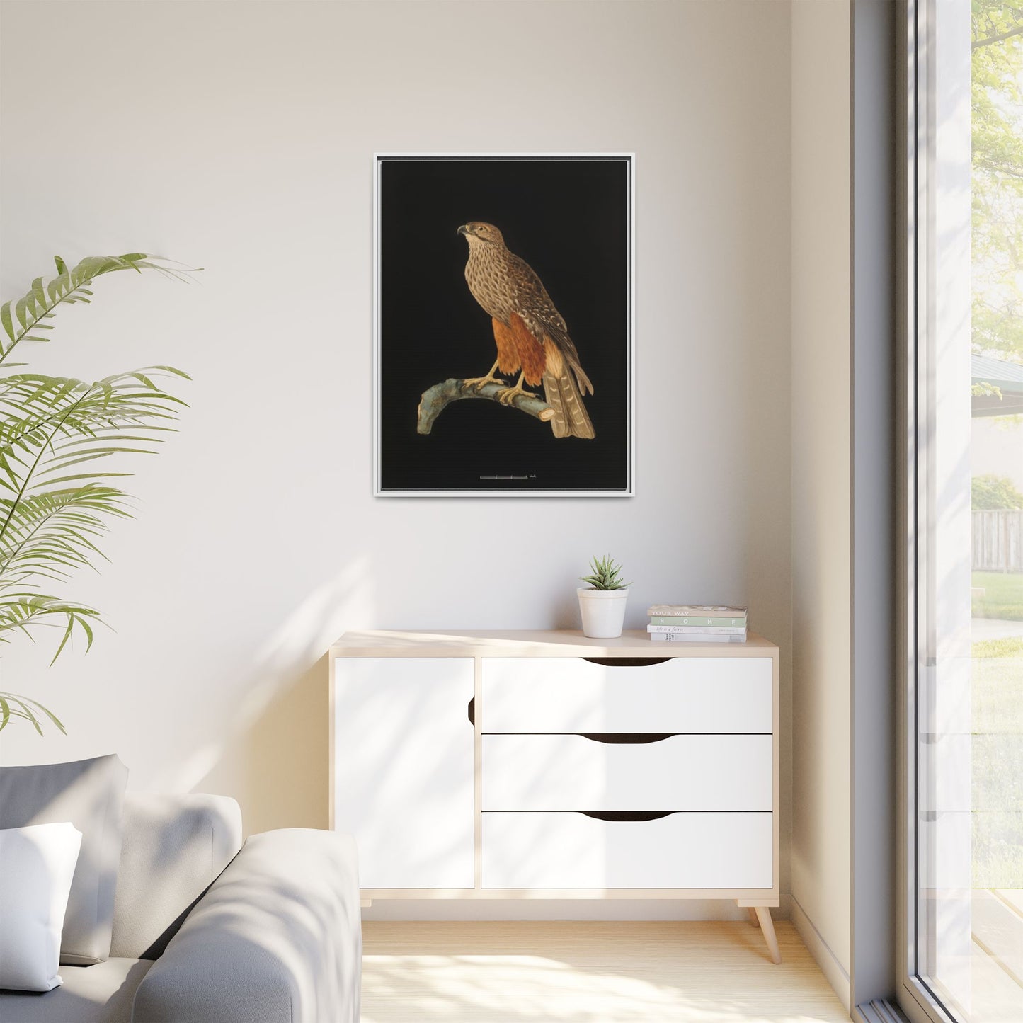 Framed Matte Canvas Print — Vintage Red-Shouldered Hawk Illustration
