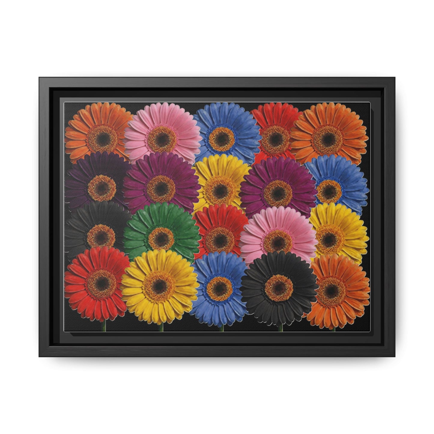 Framed Matte Canvas - Rainbow Gerbera Daisy Wall Art