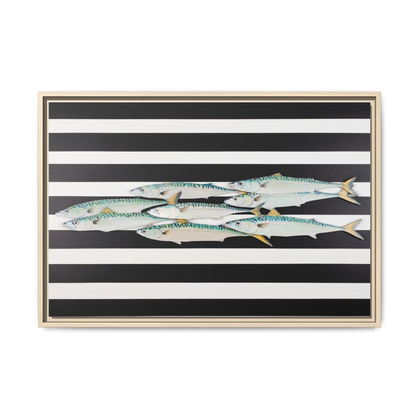 Striped Mackerel Canvas Print — Framed Matte Fish Wall Art
