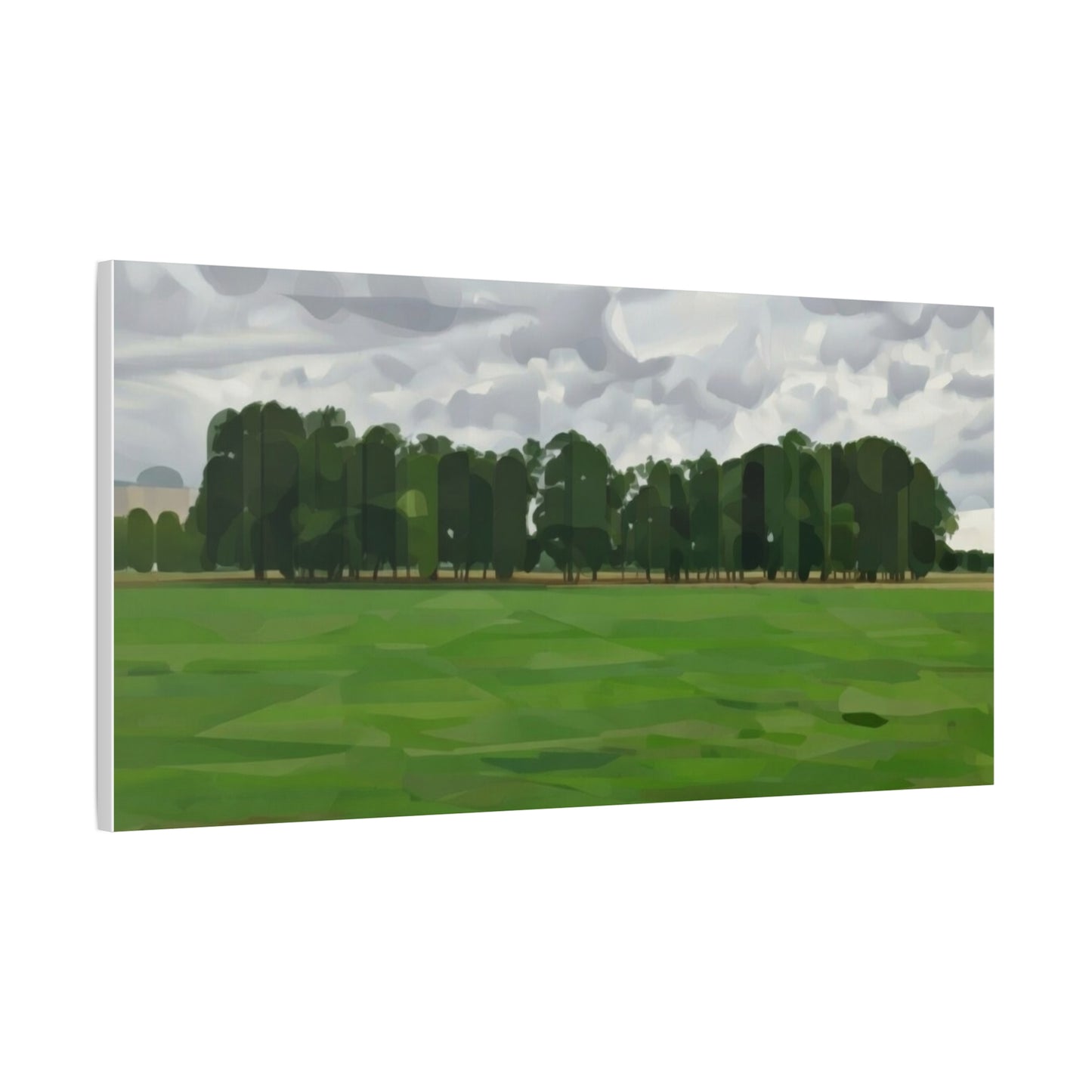 Green Field Landscape Canvas Print — Tranquil Park Scene Matte Stretched Canvas
