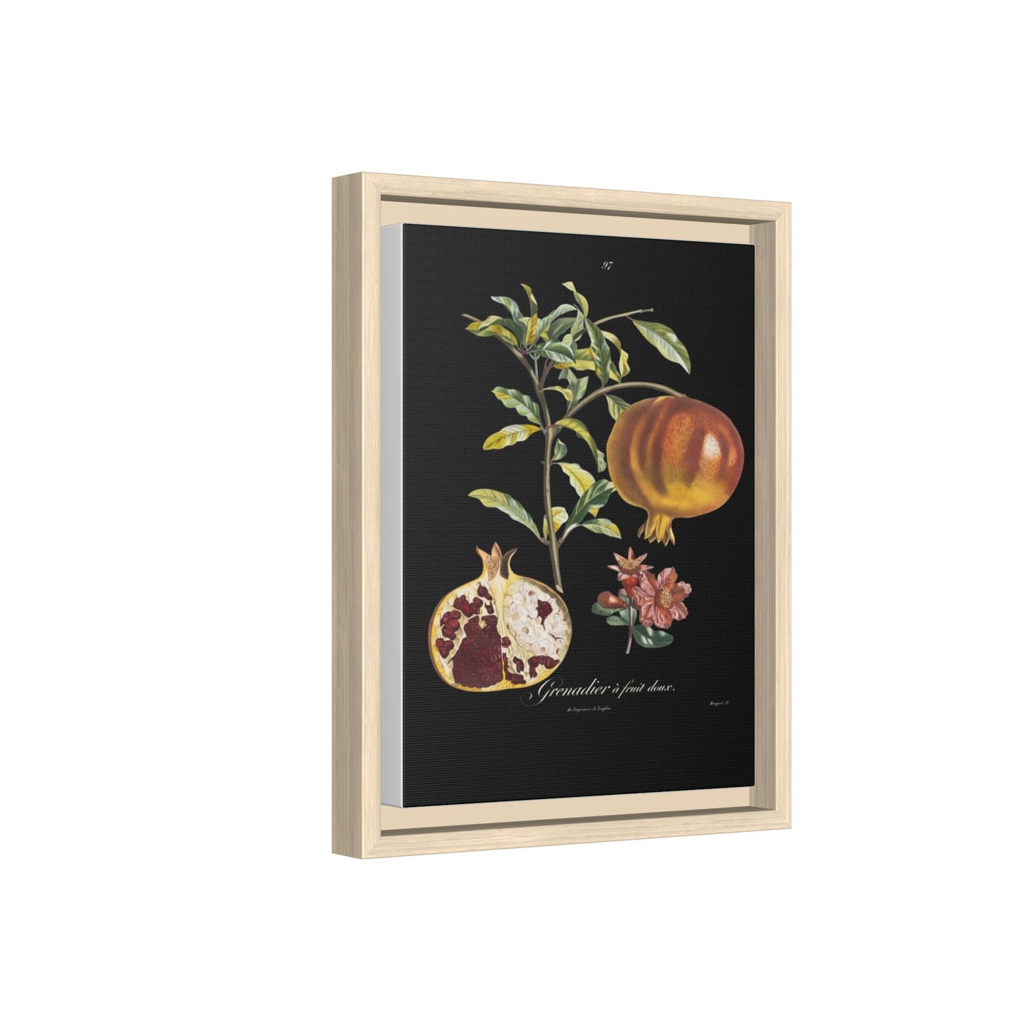 Pomegranate Botanical Framed Canvas Print — Vintage Fruit Wall Art