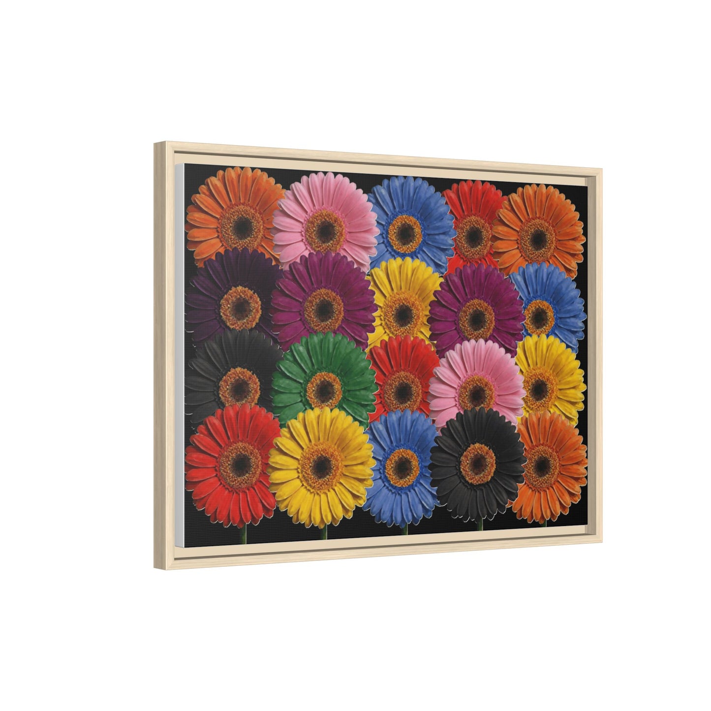 Framed Matte Canvas - Rainbow Gerbera Daisy Wall Art