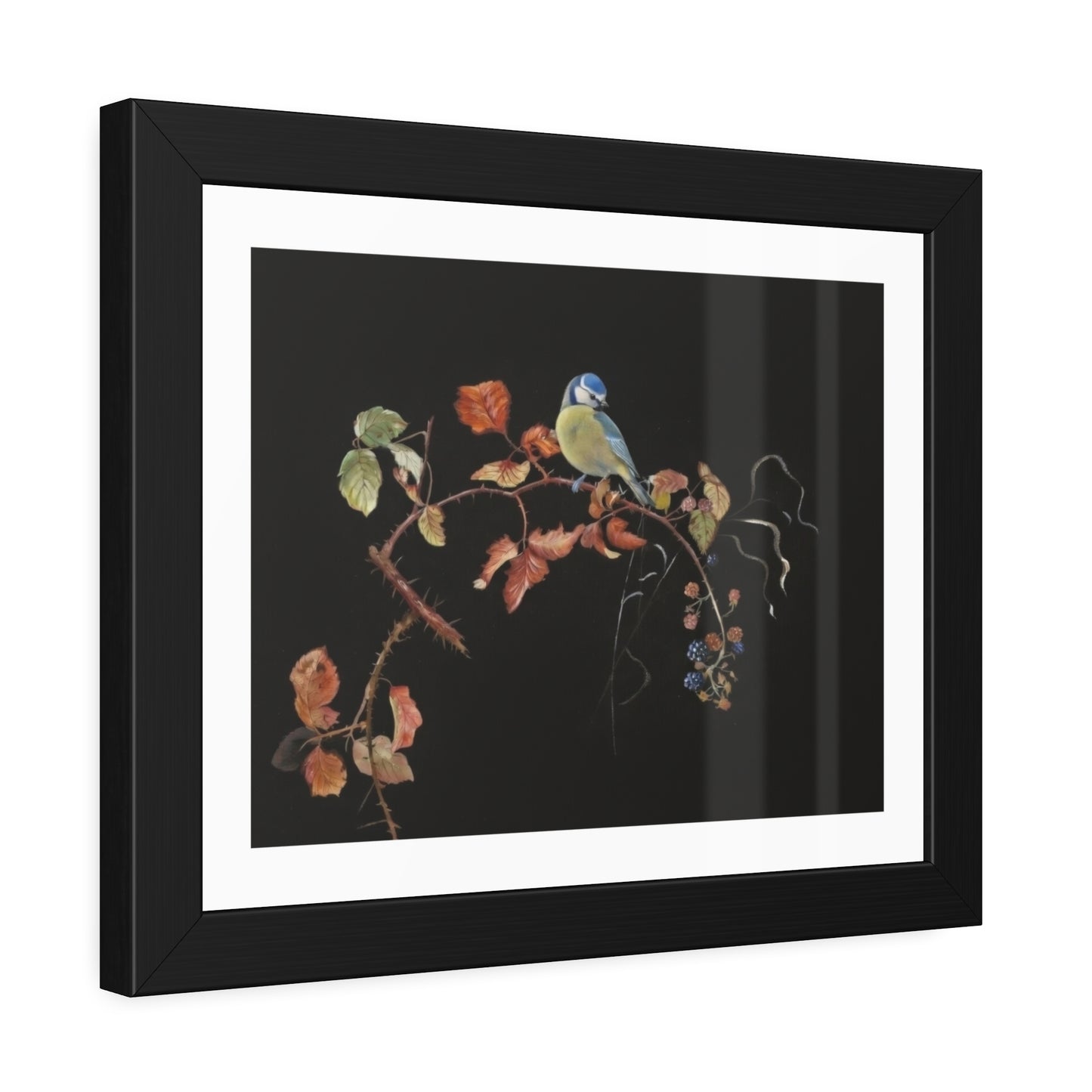 Framed Bird Print Poster — Vintage Botanical Bird Illustration on Black