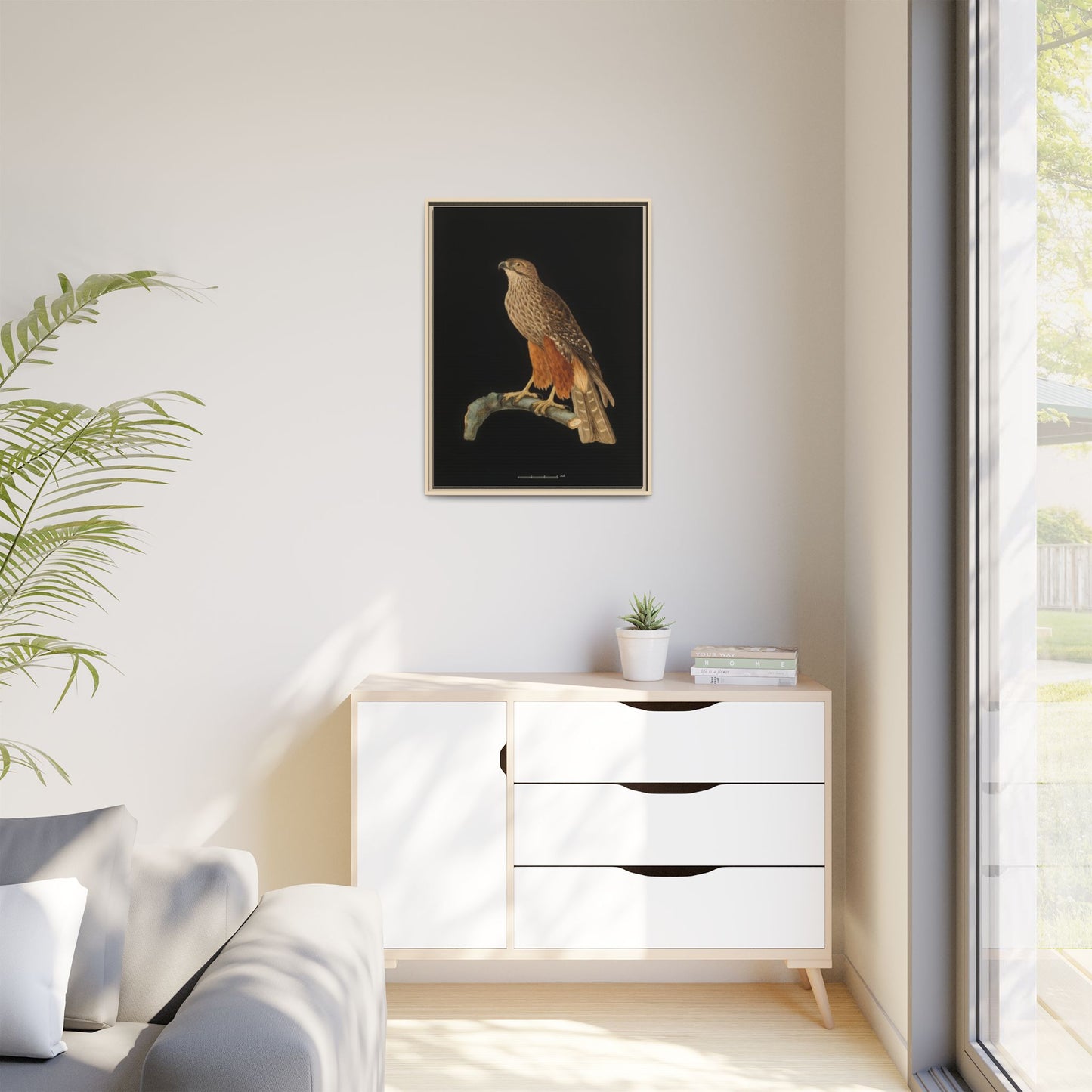 Framed Matte Canvas Print — Vintage Red-Shouldered Hawk Illustration
