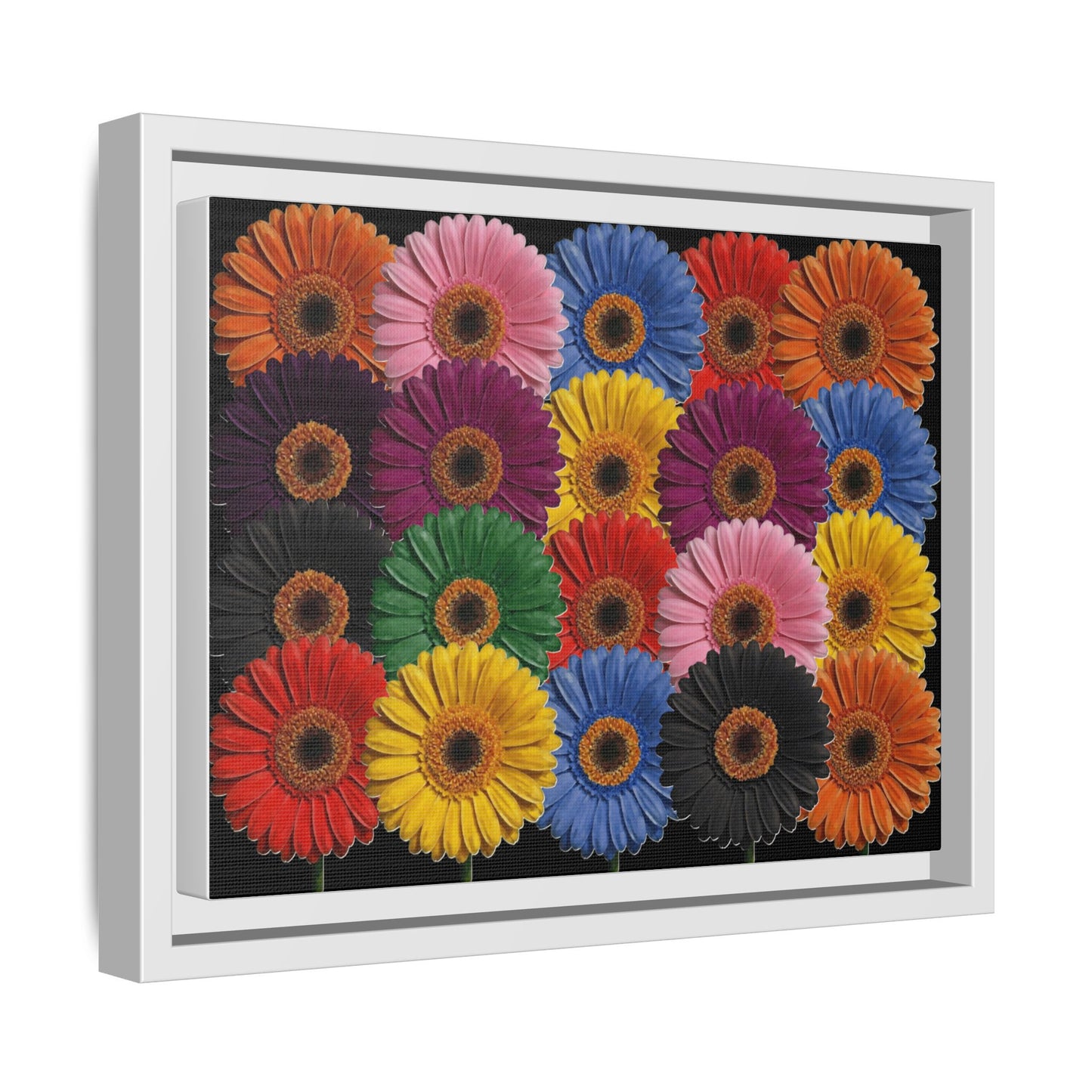 Framed Matte Canvas - Rainbow Gerbera Daisy Wall Art