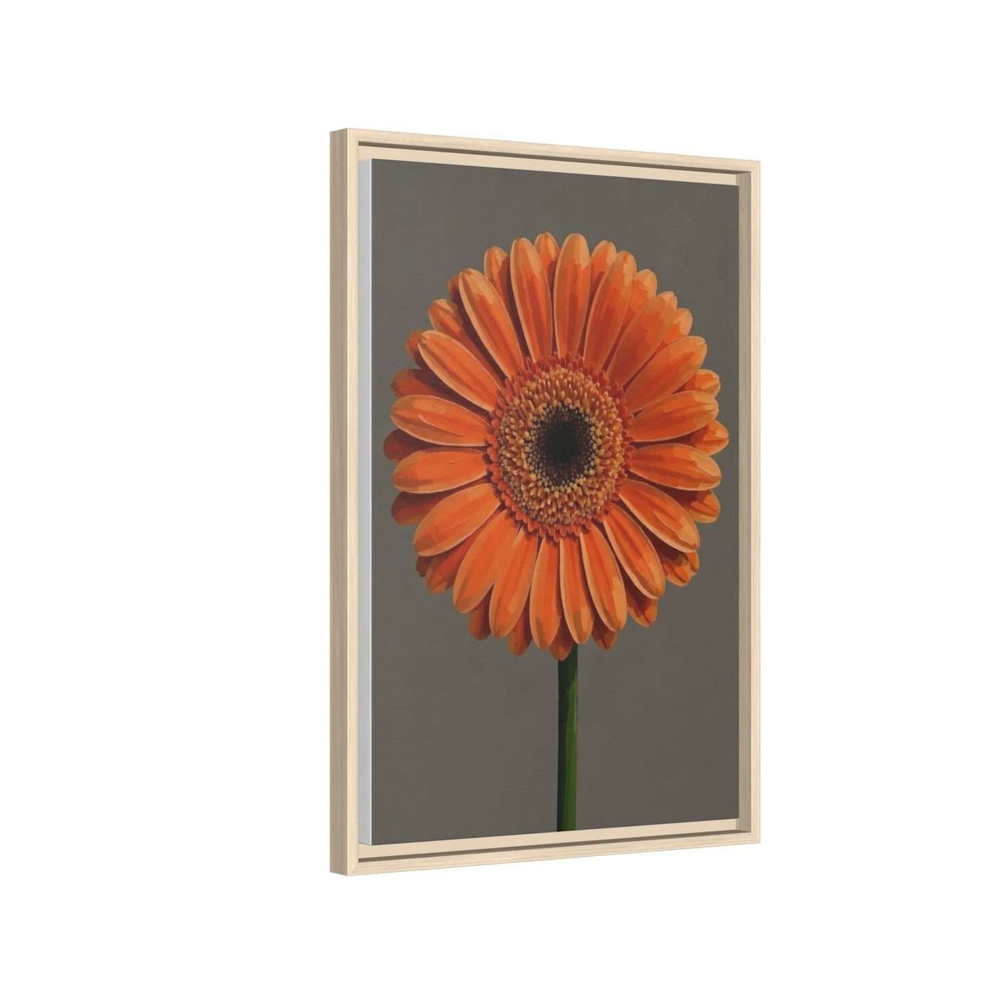 Orange Gerbera Daisy Matte Canvas Print (Framed)
