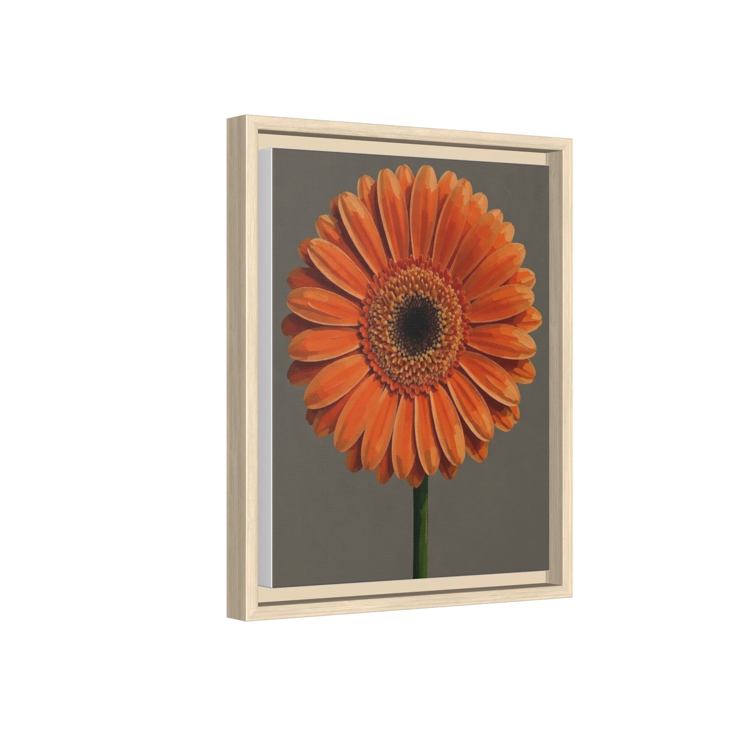 Orange Gerbera Daisy Matte Canvas Print (Framed)
