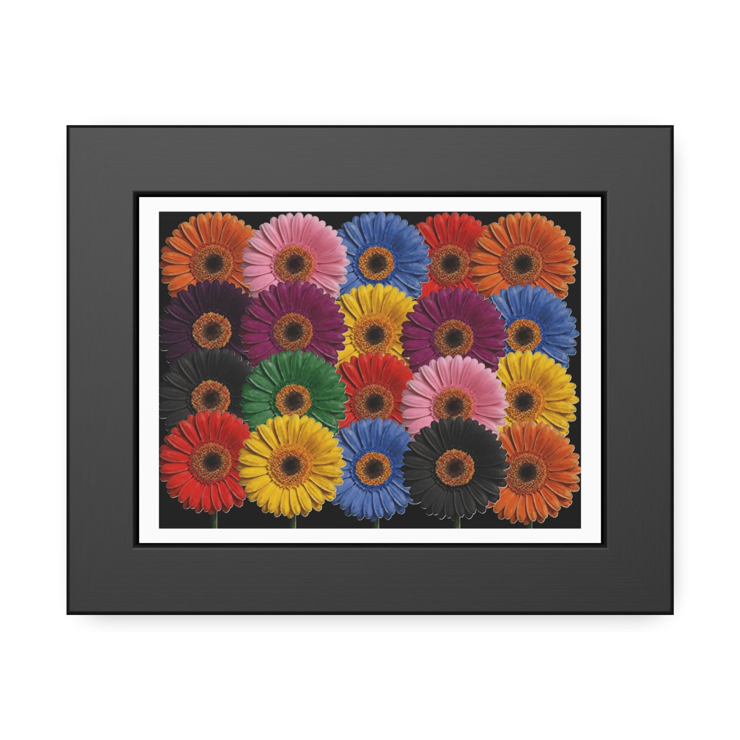 Framed Floral Poster — Colorful Gerbera Wall Art Print