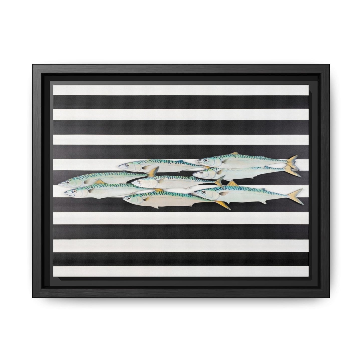 Striped Mackerel Canvas Print — Framed Matte Fish Wall Art