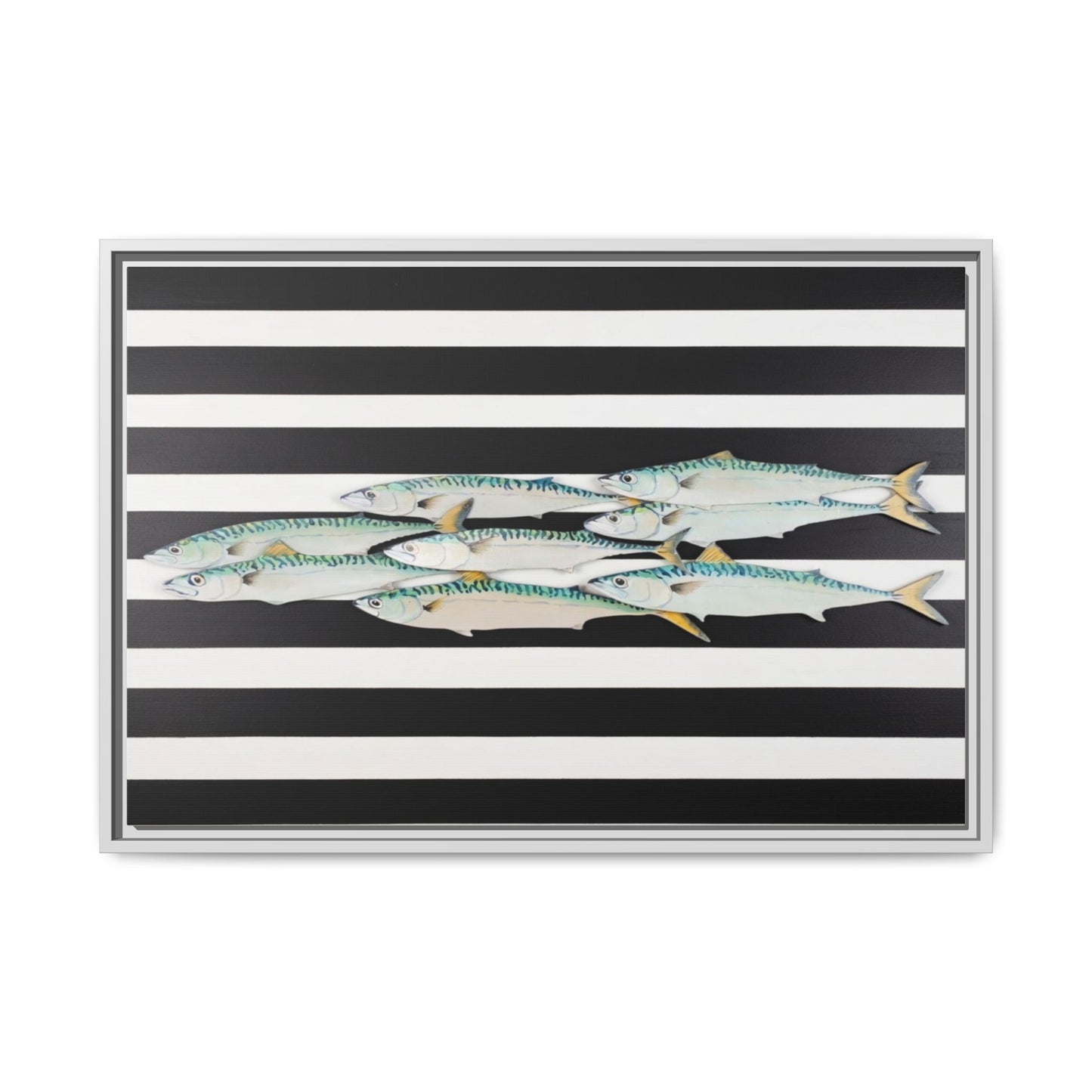Striped Mackerel Canvas Print — Framed Matte Fish Wall Art