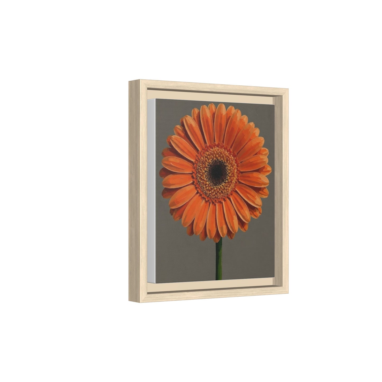 Orange Gerbera Daisy Matte Canvas Print (Framed)