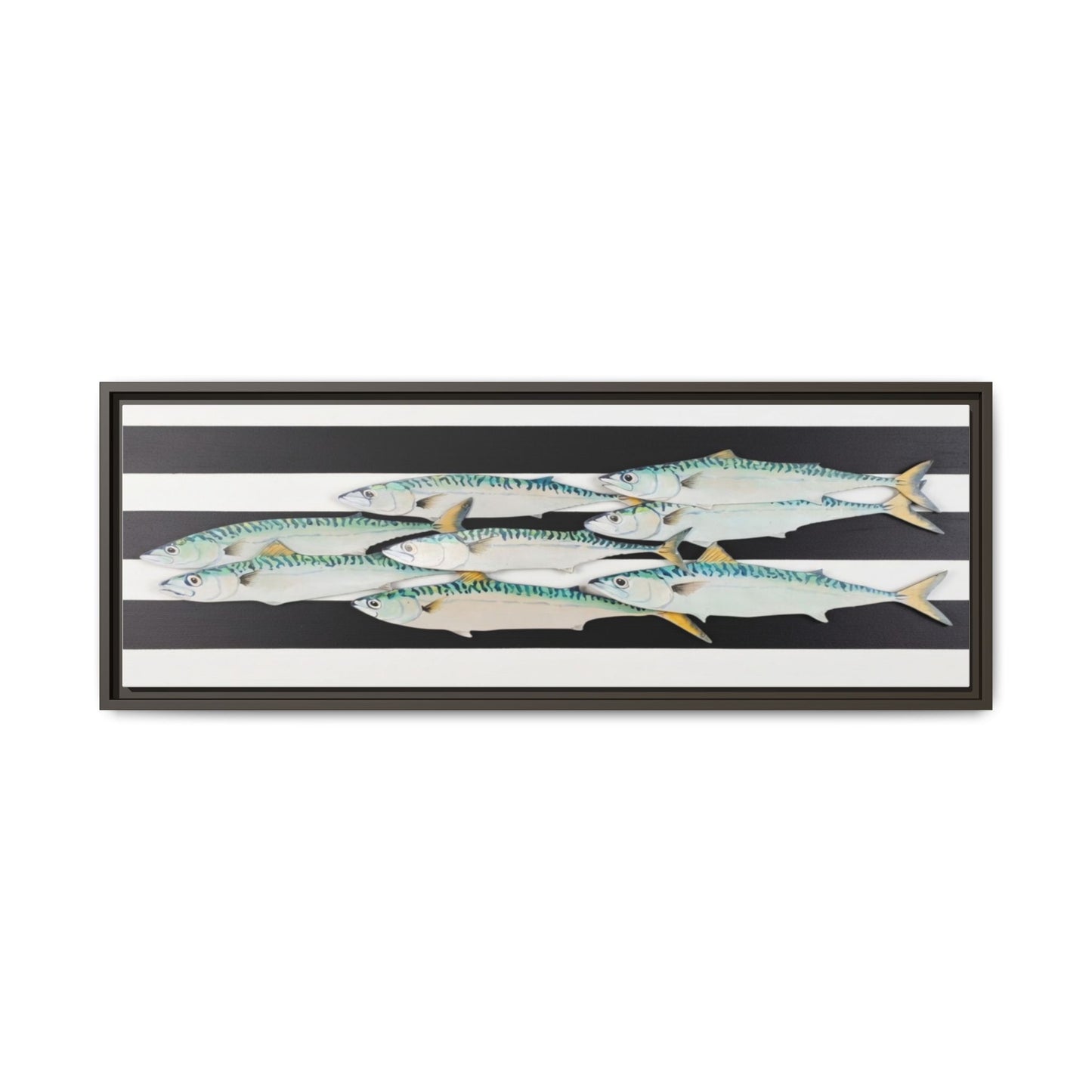 Striped Mackerel Canvas Print — Framed Matte Fish Wall Art