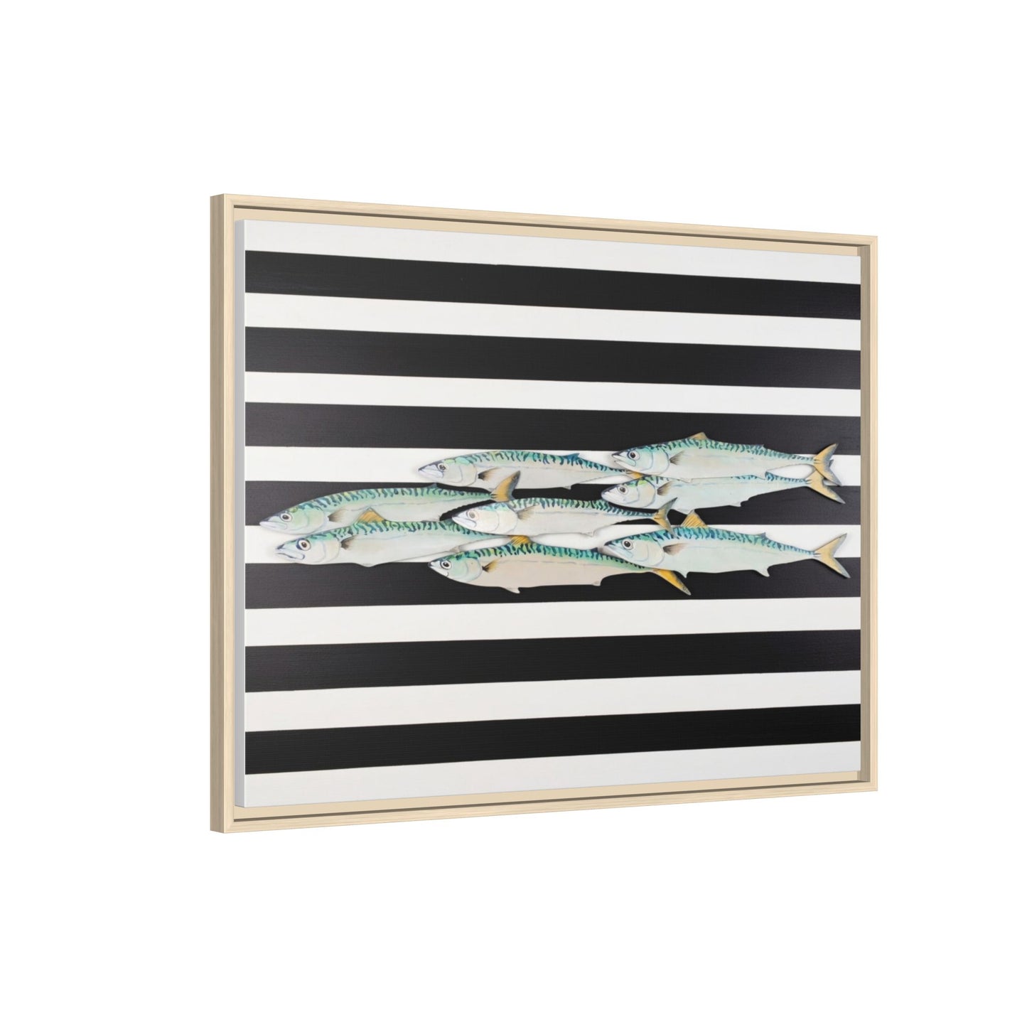 Striped Mackerel Canvas Print — Framed Matte Fish Wall Art
