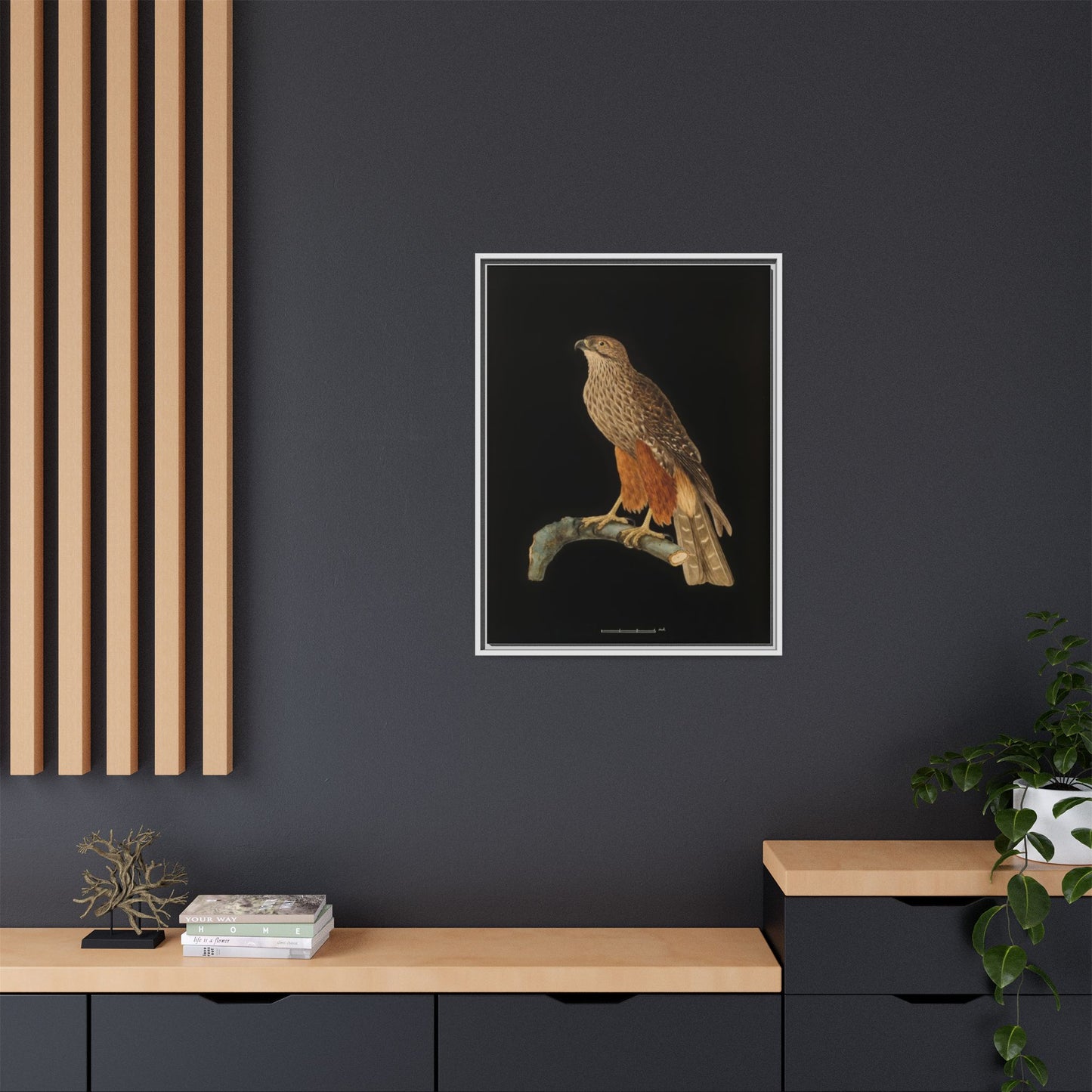 Framed Matte Canvas Print — Vintage Red-Shouldered Hawk Illustration