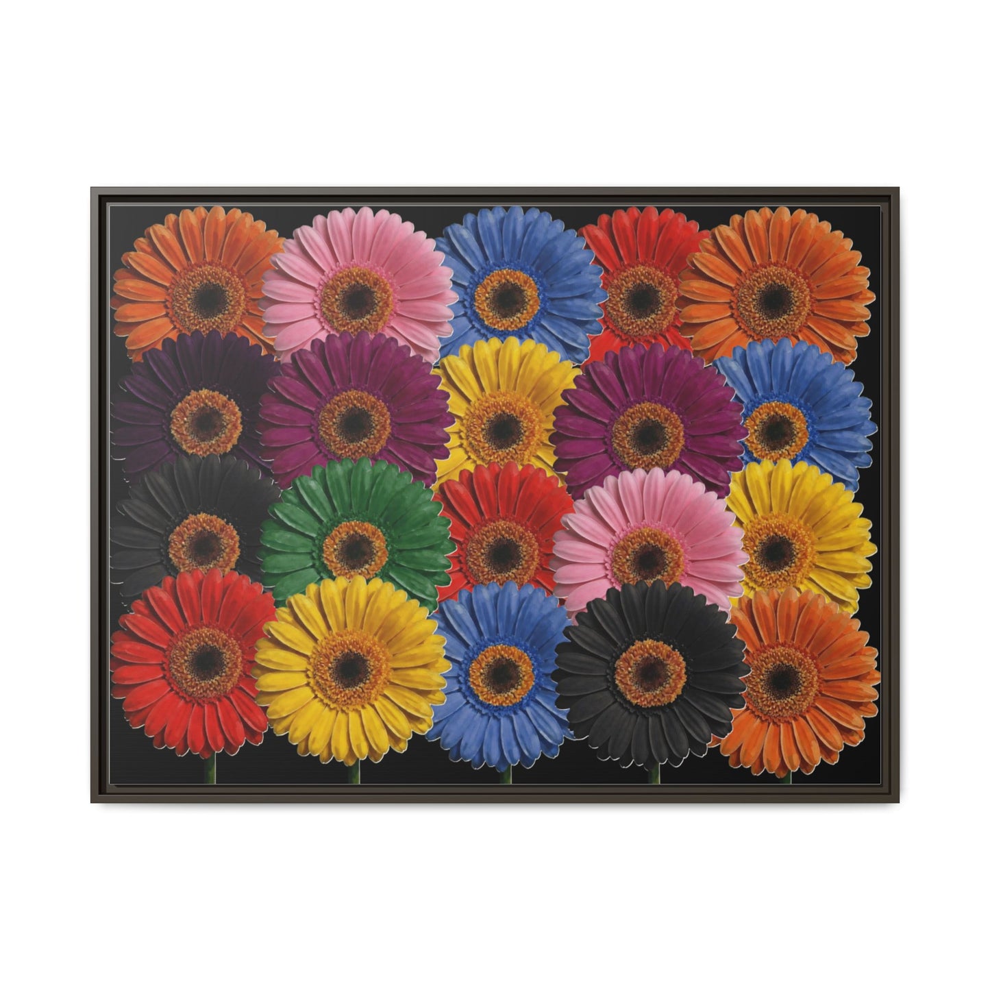Framed Matte Canvas - Rainbow Gerbera Daisy Wall Art
