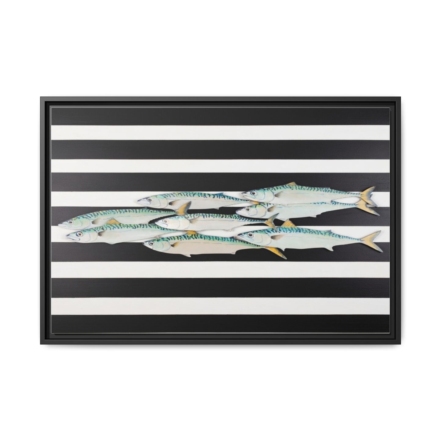 Striped Mackerel Canvas Print — Framed Matte Fish Wall Art