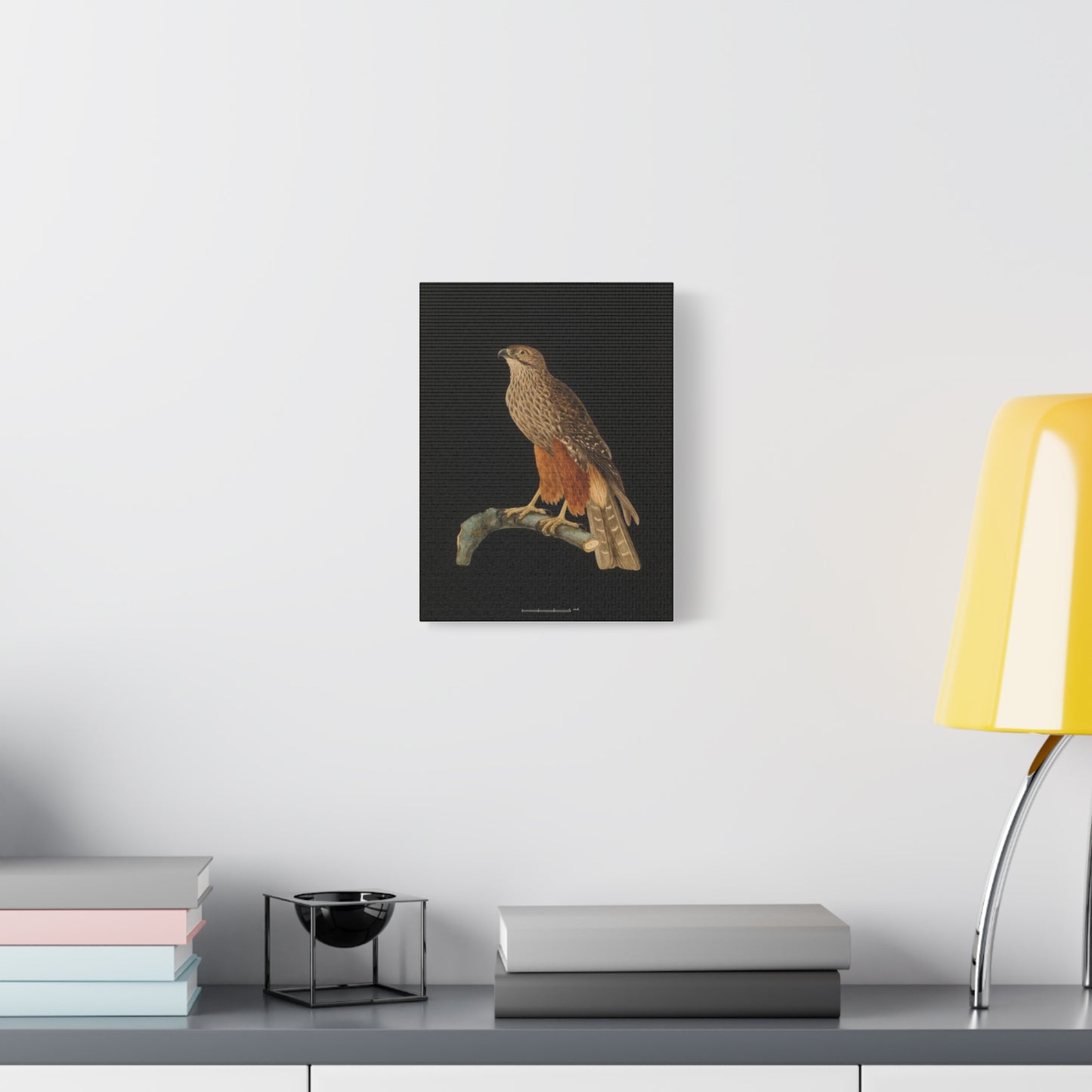 Falcon Art Canvas Print — Matte Stretched Bird Illustration