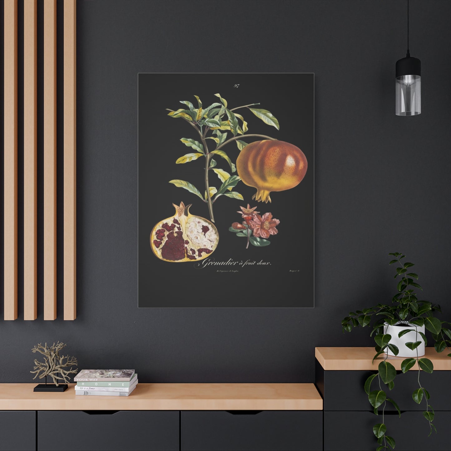 Pomegranate Botanical Canvas Print — Matte Stretched Wall Art