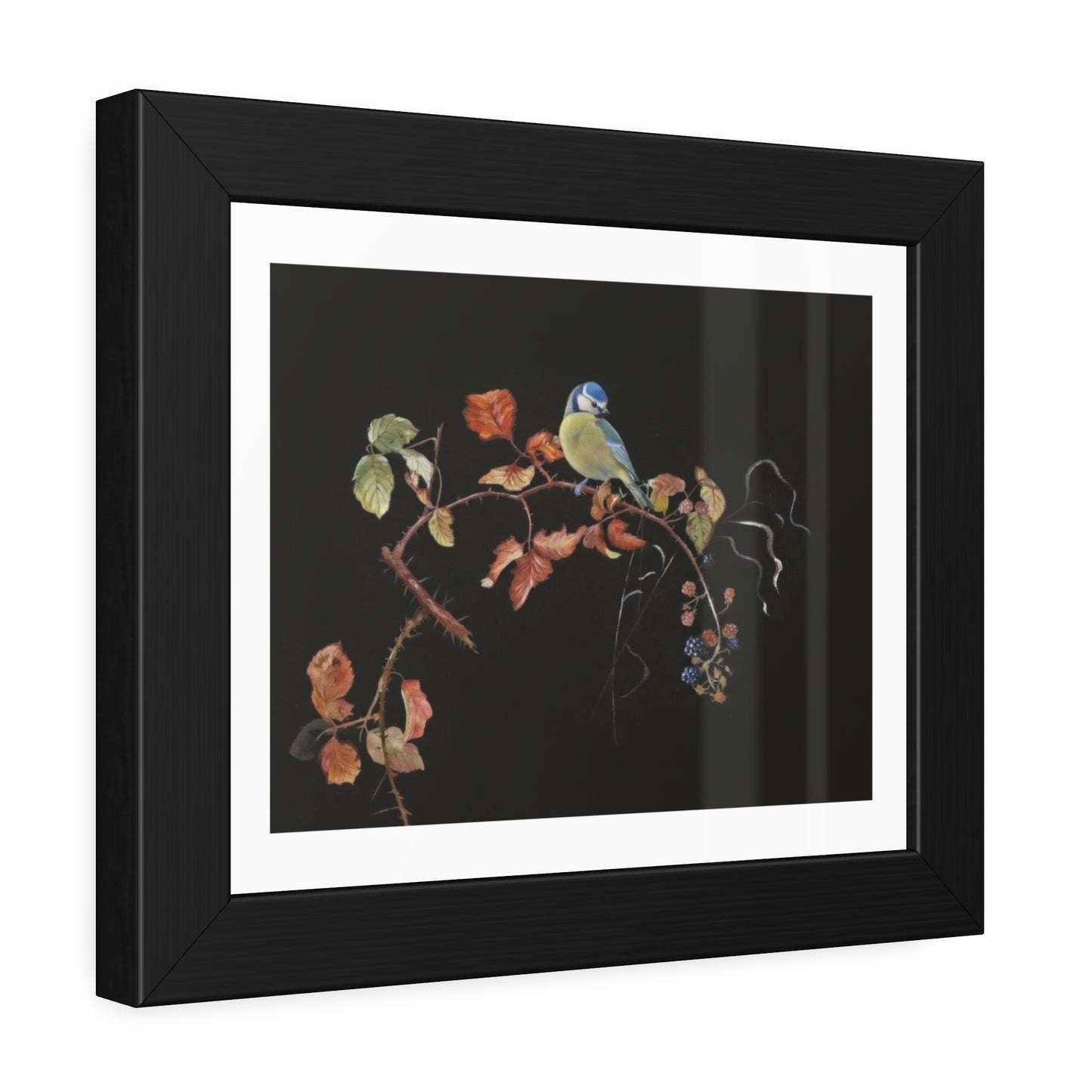 Framed Bird Print Poster — Vintage Botanical Bird Illustration on Black