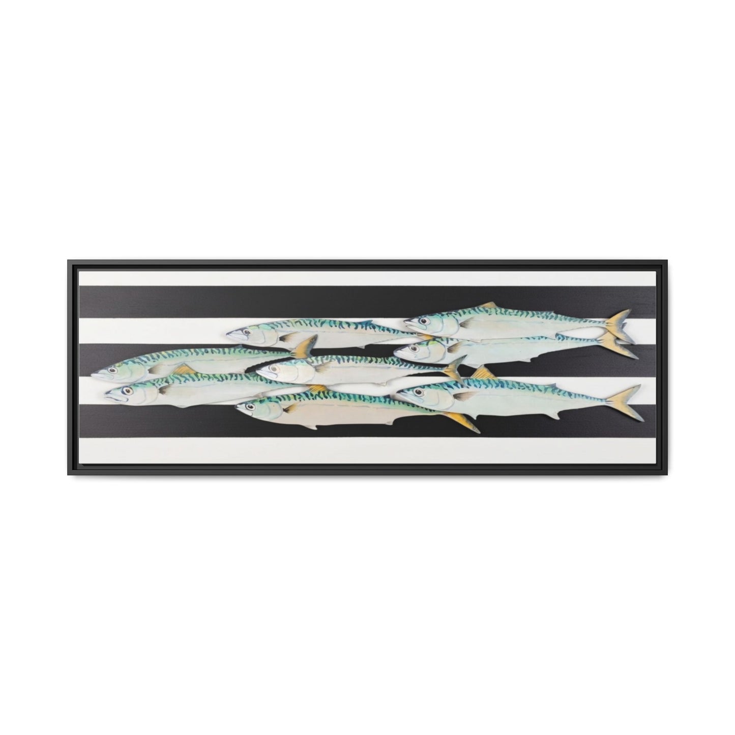 Striped Mackerel Canvas Print — Framed Matte Fish Wall Art