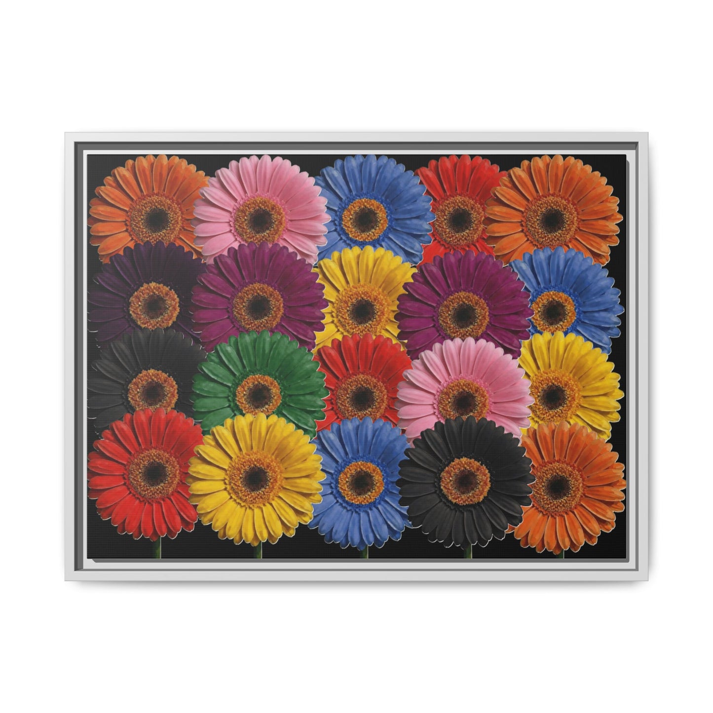 Framed Matte Canvas - Rainbow Gerbera Daisy Wall Art