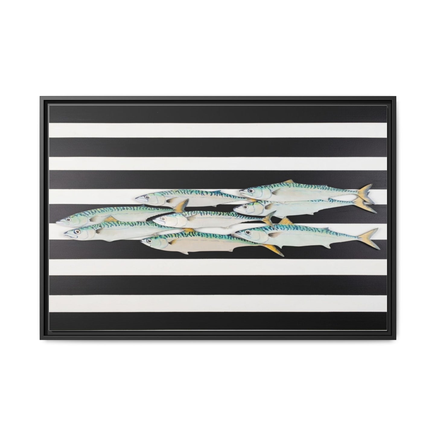 Striped Mackerel Canvas Print — Framed Matte Fish Wall Art