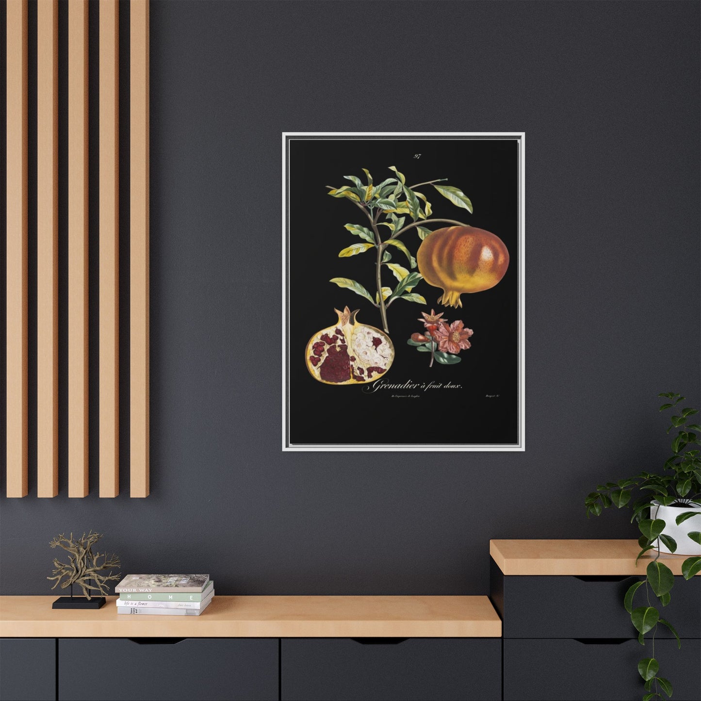 Pomegranate Botanical Framed Canvas Print — Vintage Fruit Wall Art