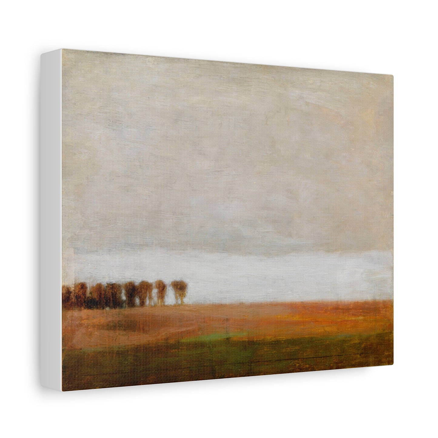 View of Jaegersborg Allé, North of Copenhagen by Vilhelm Hammershøi Canvas Wall Art Print