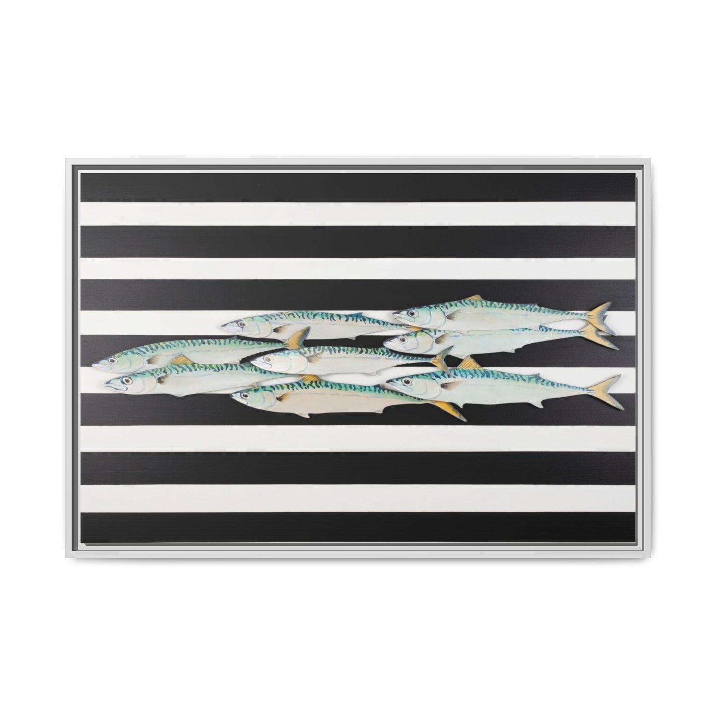 Striped Mackerel Canvas Print — Framed Matte Fish Wall Art