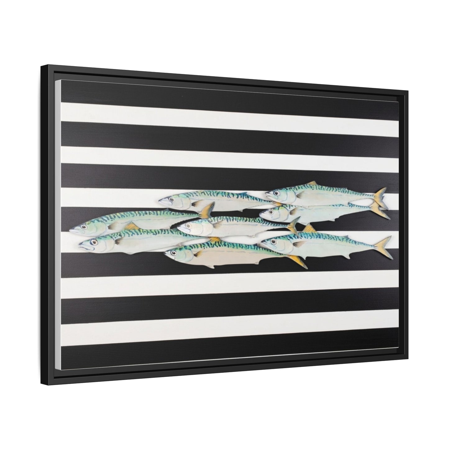 Striped Mackerel Canvas Print — Framed Matte Fish Wall Art