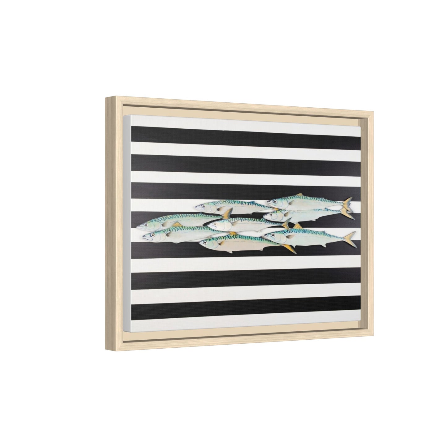 Striped Mackerel Canvas Print — Framed Matte Fish Wall Art