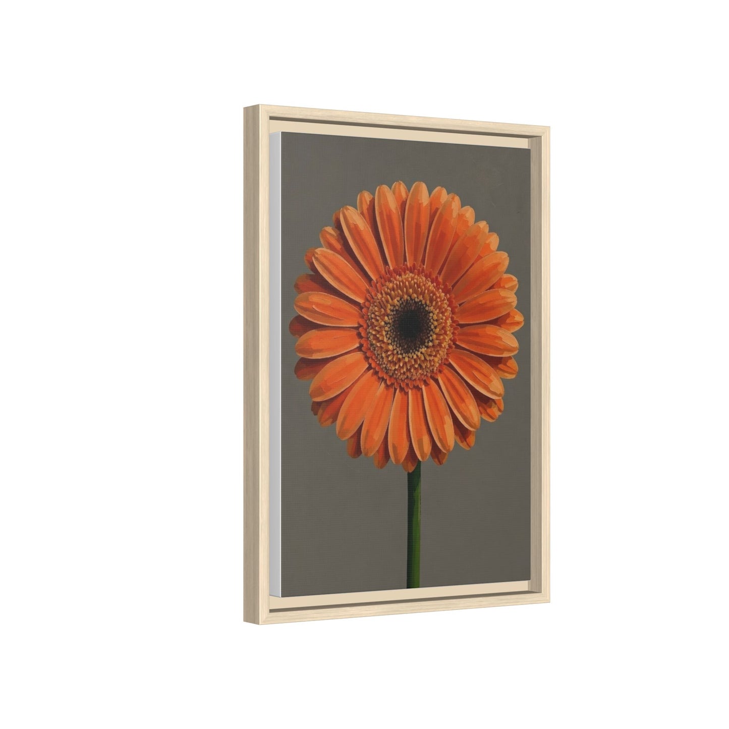 Orange Gerbera Daisy Matte Canvas Print (Framed)