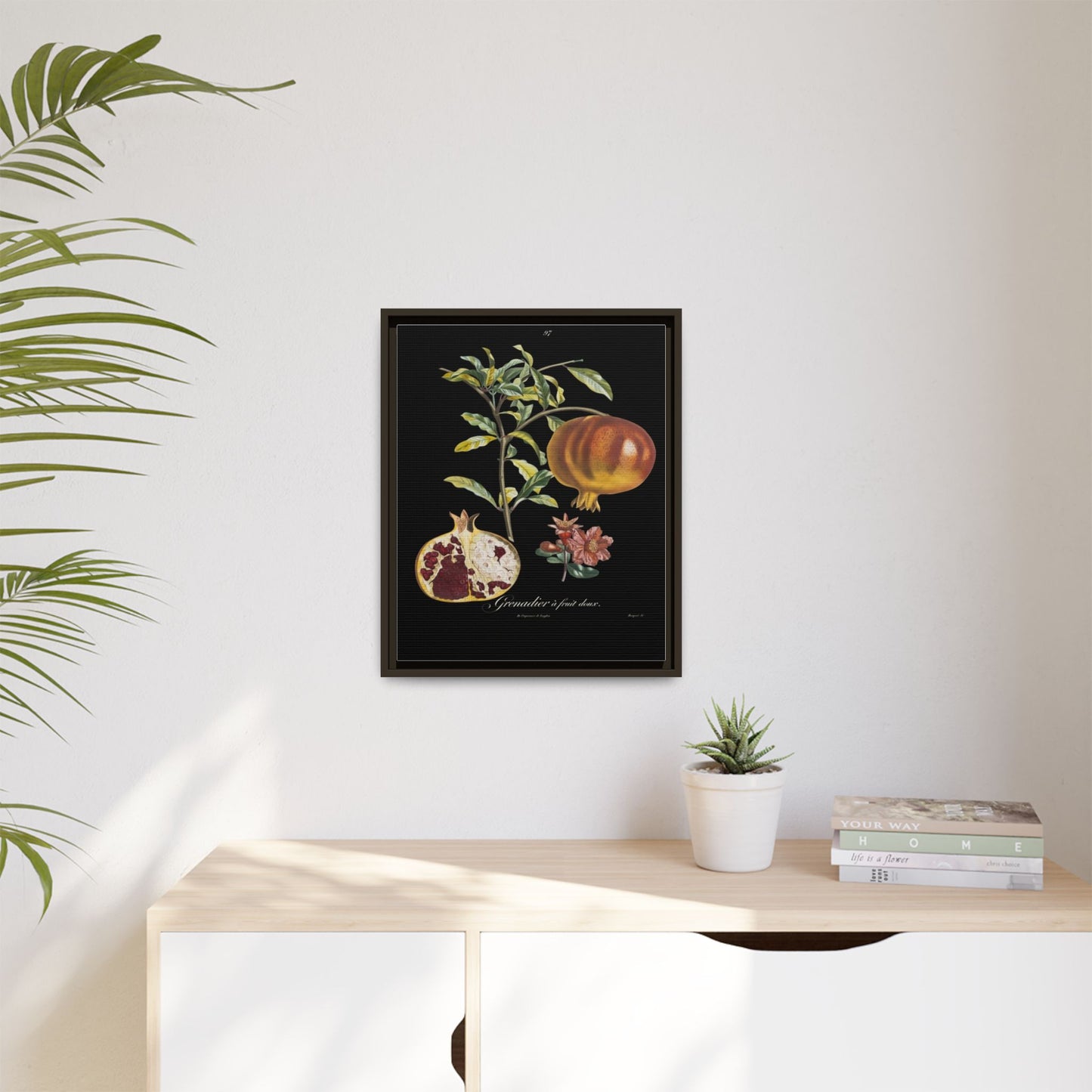 Pomegranate Botanical Framed Canvas Print — Vintage Fruit Wall Art