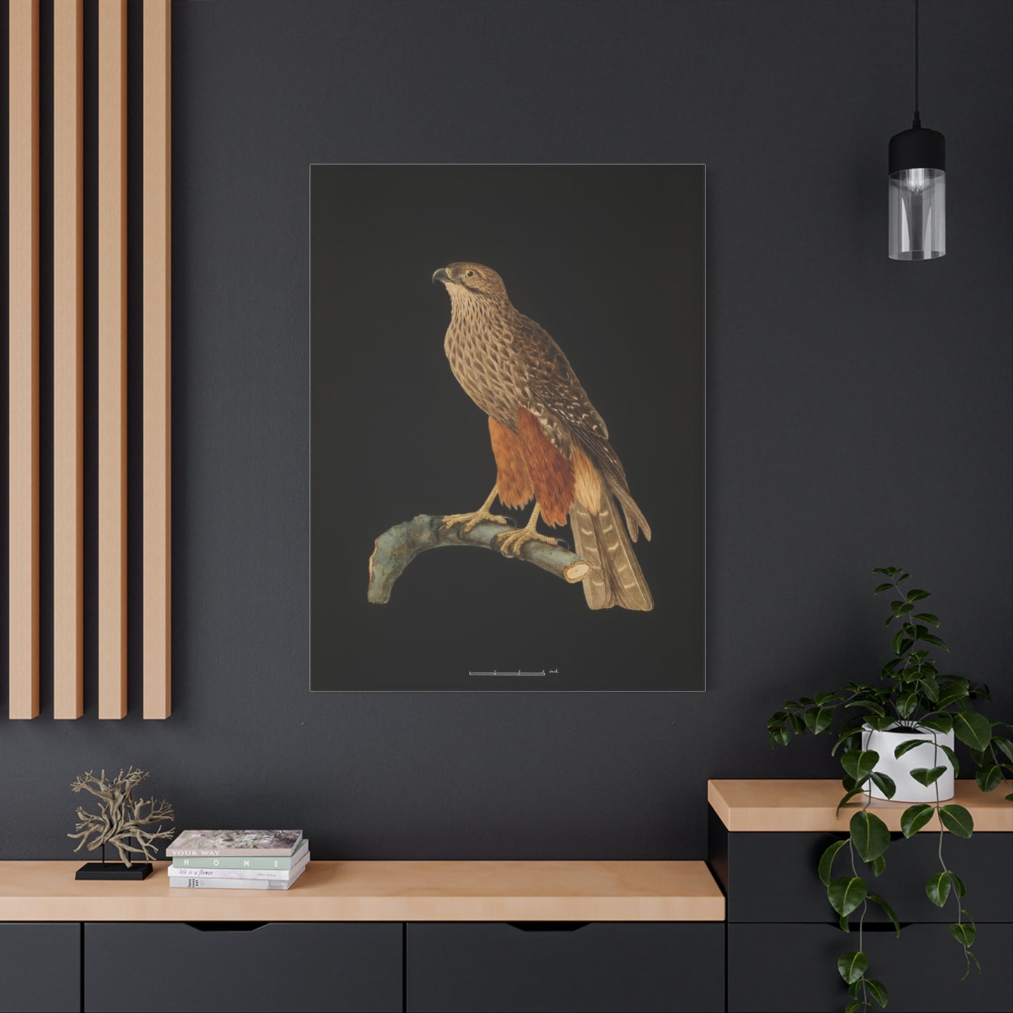 Falcon Art Canvas Print — Matte Stretched Bird Illustration